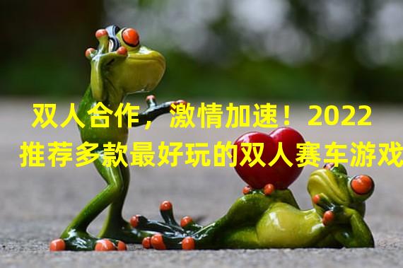 双人合作，激情加速！2022推荐多款最好玩的双人赛车游戏